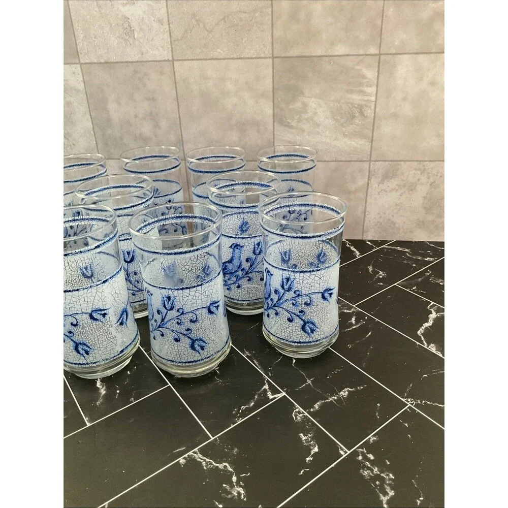 Libbey 10 oz glasses Frosted Blue bird and flower 5.25” X 2.50” Set of 11